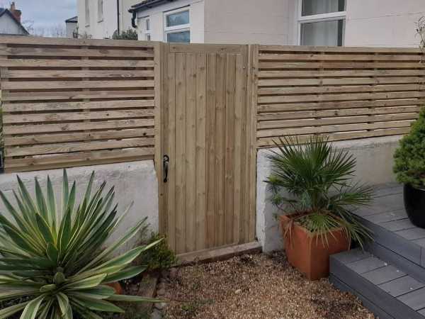 Gate and fence project